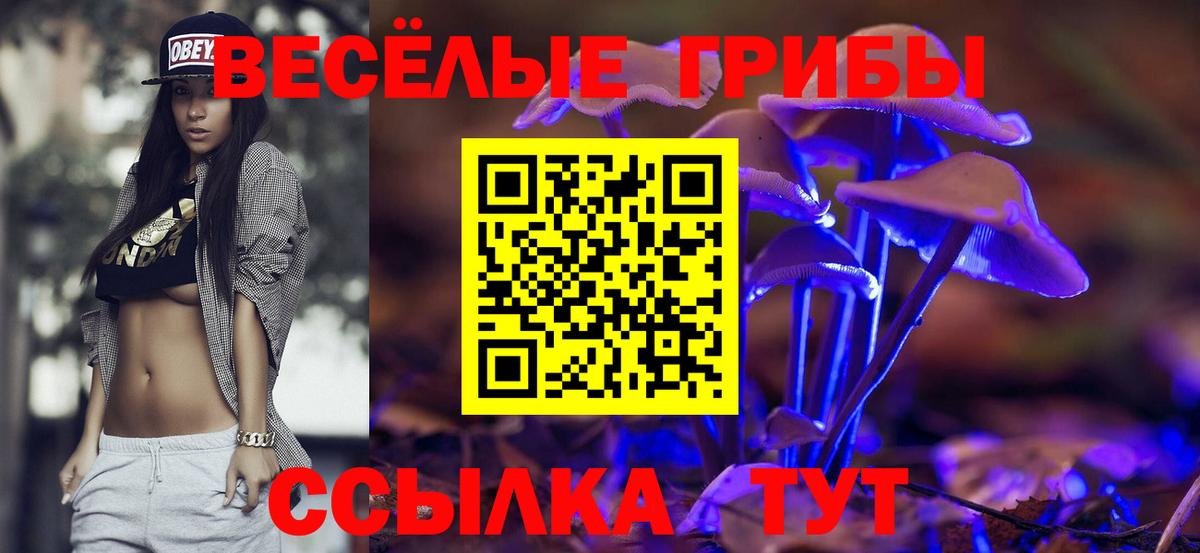 Галлюциногенные грибы Magic Shrooms  Вход с VPN  купить закладку  Тавда 